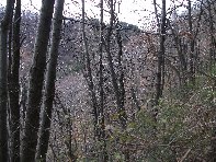nte Cagliato-20110220 010